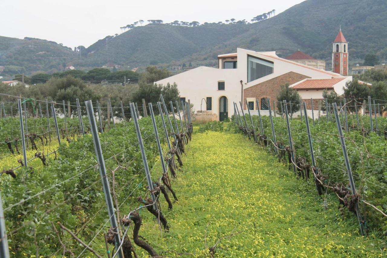 Tenuta Rasocolmo Μεσίνα Εξωτερικό φωτογραφία