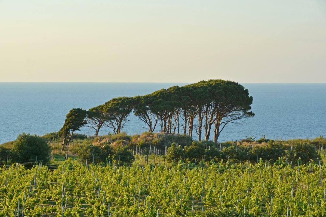 Tenuta Rasocolmo Μεσίνα Εξωτερικό φωτογραφία